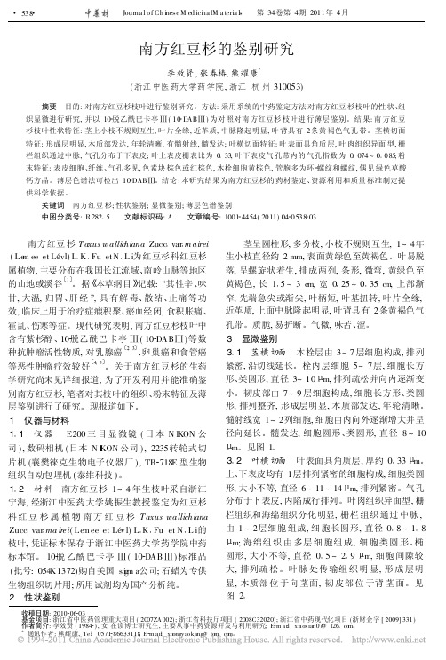 南方红豆杉的鉴别研究
