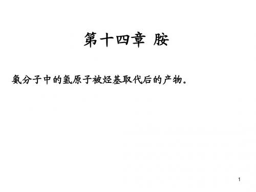 14第十四章 胺