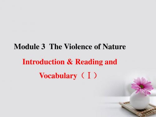 课时讲练通Module3ViolenceofNaturePeriod1IntroductionRea