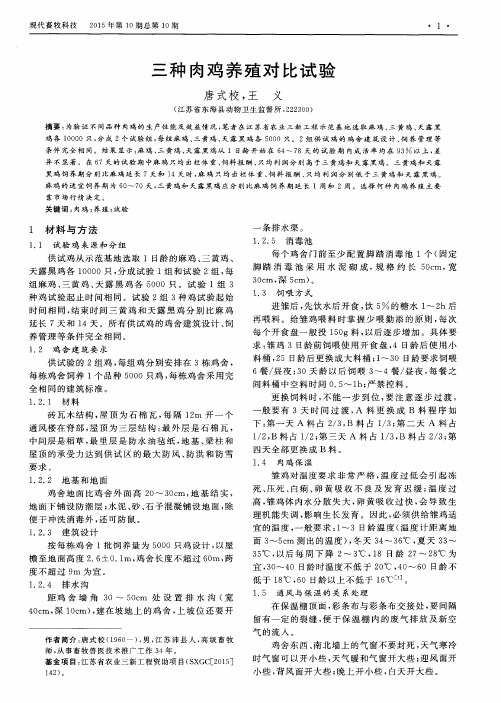 三种肉鸡养殖对比试验