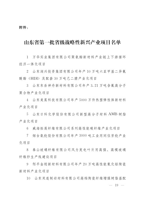 山东省第一批省级战略性新兴产业项目名单