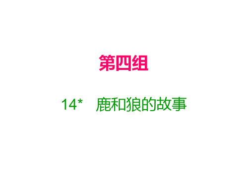 六年级上册语文习题课件14 鹿和狼的故事｜人教新课标(含答案) (共13张PPT)