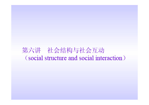 社会学概论第六讲：社会结构与社会互动(2008)