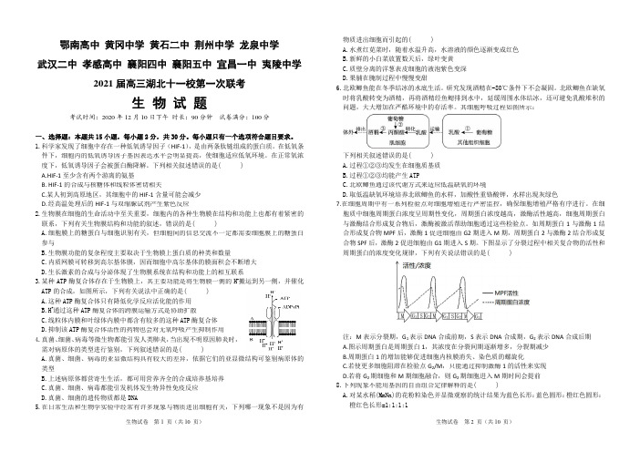 湖北省十一校2021届高三上学期第一次联考 生物试题附答案