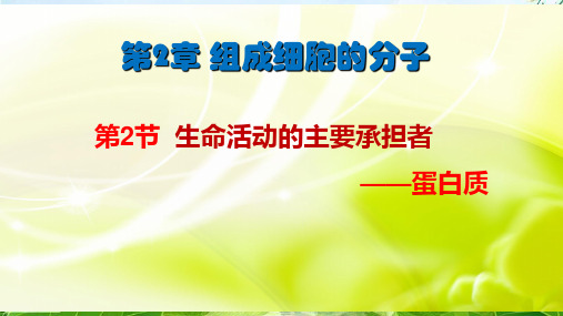 生命活动的主要承担者——蛋白质(28张PPT)精选优质 课件
