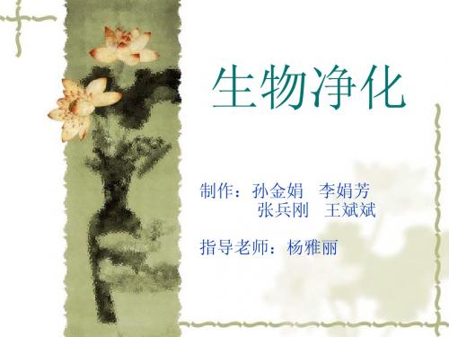 生物净化