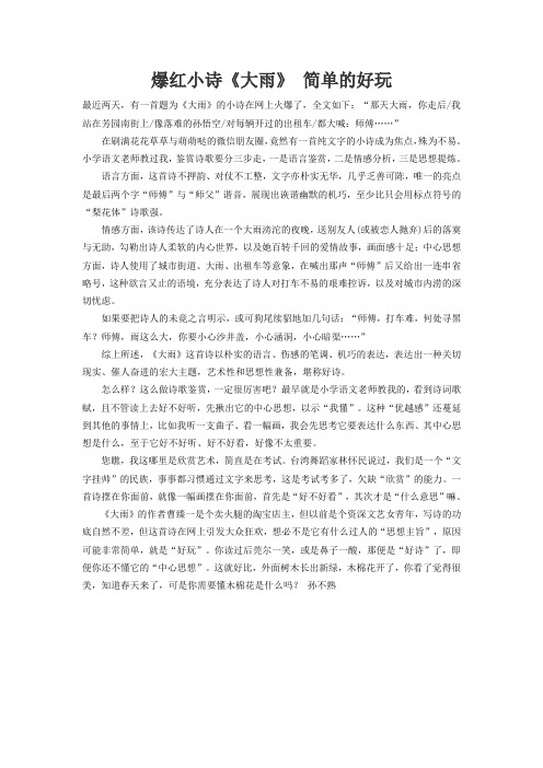 爆红小诗《大雨》 简单的好玩