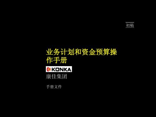 麦肯锡-康佳业务计划和资金预算操作手册