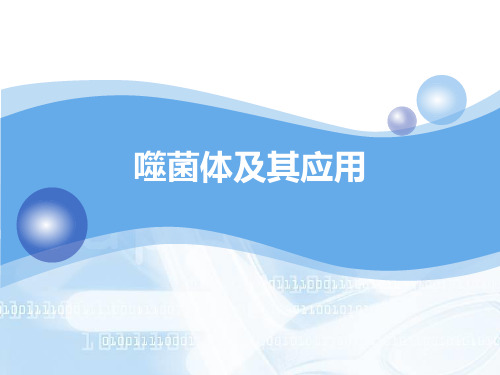 噬菌体及其研究进展PPT