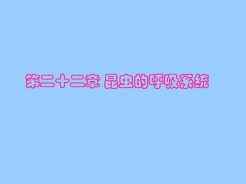 昆虫的呼吸系统