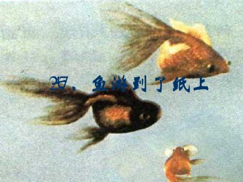 鱼游到了纸上教学课件