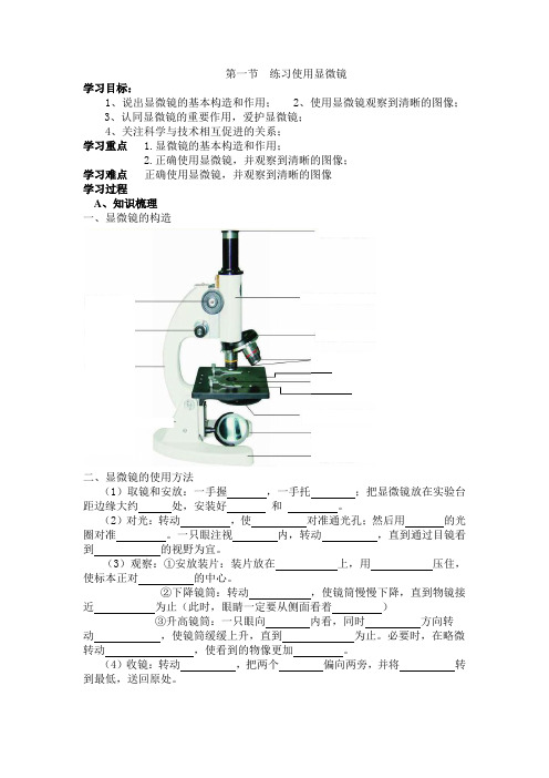 2-1-1练习使用显微镜