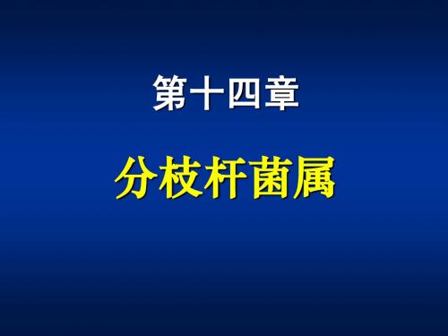 第十四章 分支杆菌属