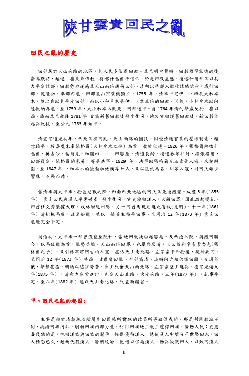 回民之乱的历史