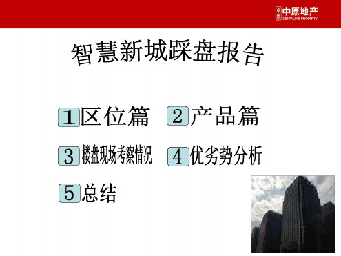 广东佛山智慧新城商业调查报告