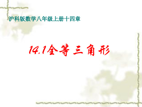 沪科版数学八年级上册十四章 14.1全等三角形 (1)课件 (共21张PPT)