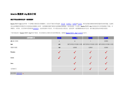Oracle数据库10g版本介绍