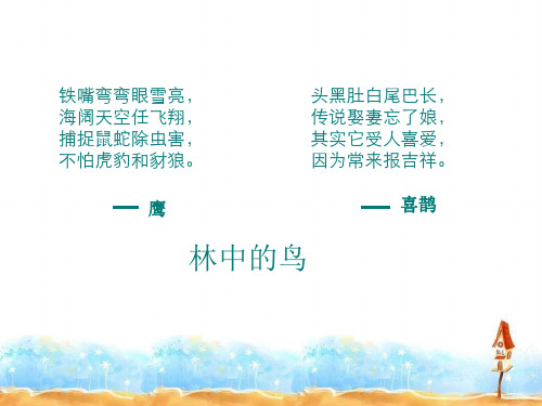 鄂教版五年级上学期生物林中的鸟课件