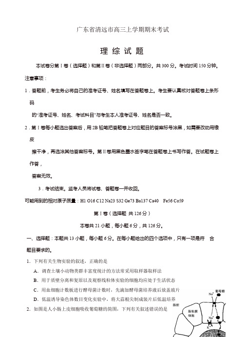 广东省清远市高三上学期期末考试理综试卷(有答案)[精品]