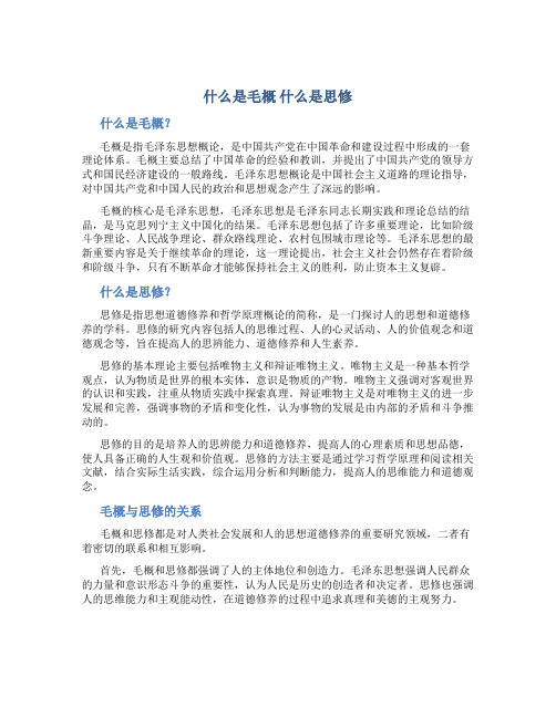 什么是毛概 什么是思修