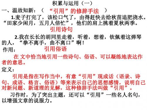 积累与运用(一)