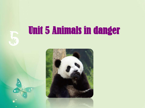 六年级上册英语课件-Unit 5《Animals in danger》_牛津上海版 (共18张PPT)