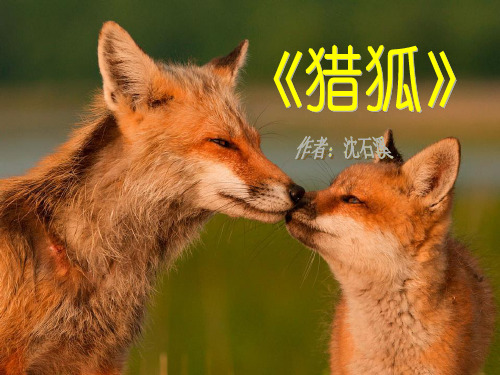 猎狐课件新教材