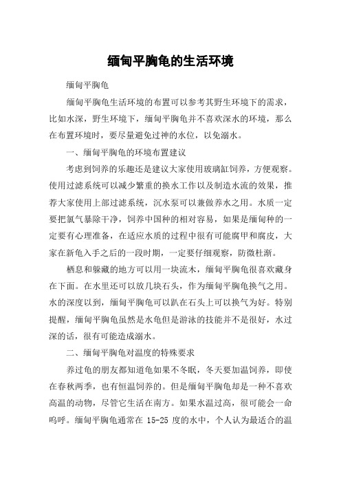 缅甸平胸龟的生活环境