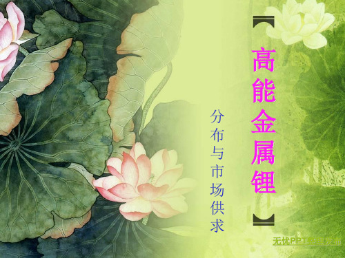 高能金属锂-PPT课件