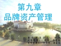 品牌资产管理案例分析