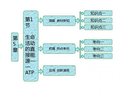 高中生物必修一第5章《细胞的能量代谢》精选教学PPT课件(4北师大份)