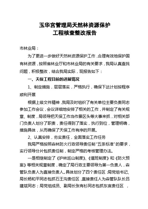天然林资源保护工程核查整改报告