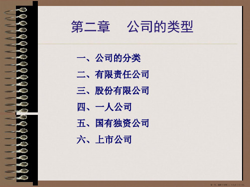 第2章-公司的类型