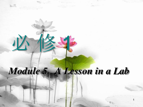 高考英语一轮复习 Module 5 A Lesson in a Lab课件 外研版必修1.pptx