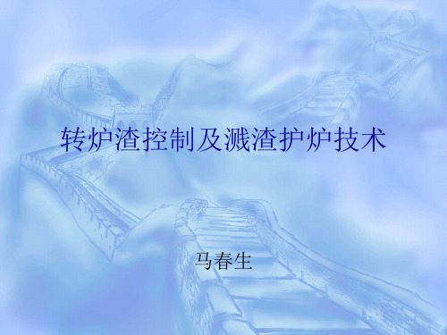 转炉渣控制及溅渣护炉技术