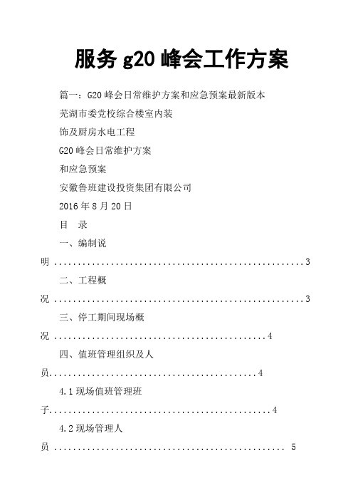 服务g20峰会工作方案