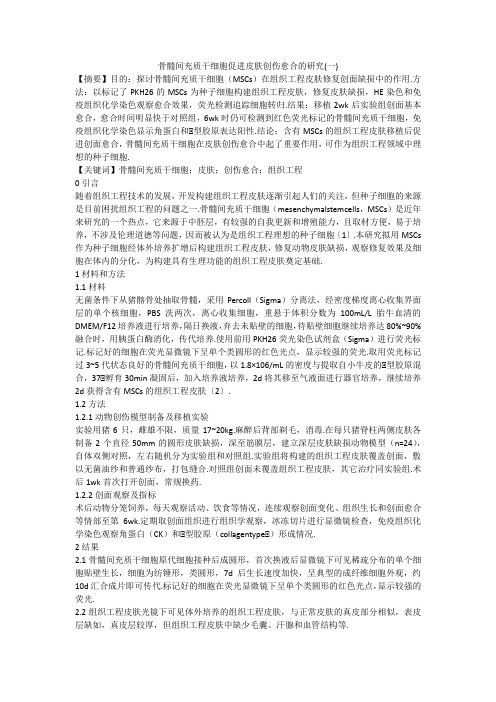 骨髓间充质干细胞促进皮肤创伤愈合的研究(一)