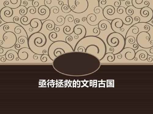 《亟待拯救的文明古国》课件9