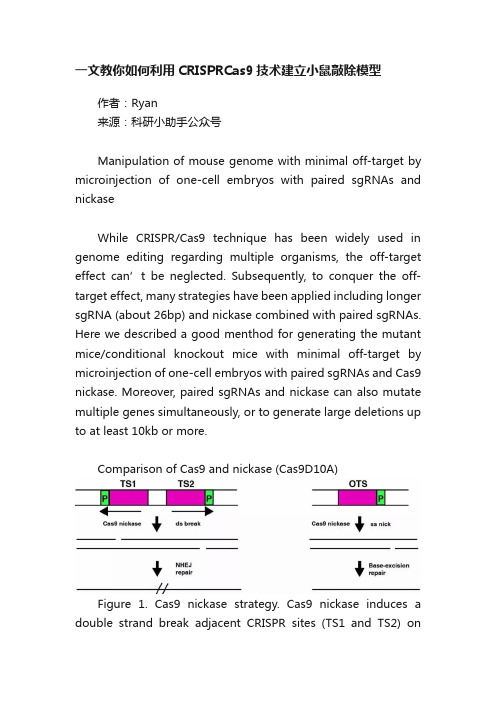 一文教你如何利用CRISPRCas9技术建立小鼠敲除模型