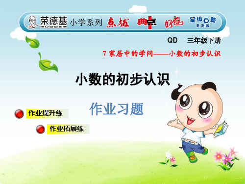 第1课时 小数的初步认识习题课件 (2)