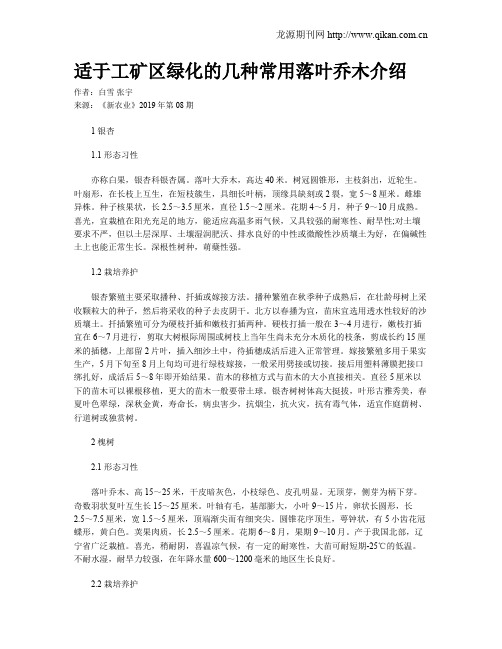 适于工矿区绿化的几种常用落叶乔木介绍