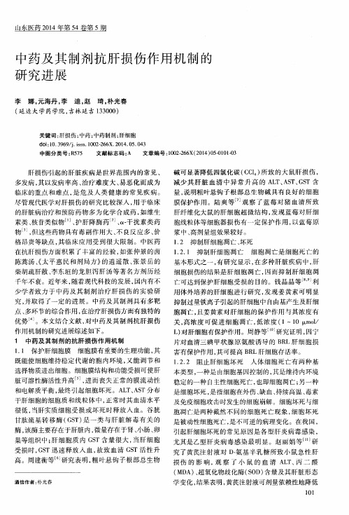 中药及其制剂抗肝损伤作用机制的研究进展