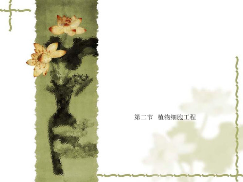 第二节   植物细胞工程