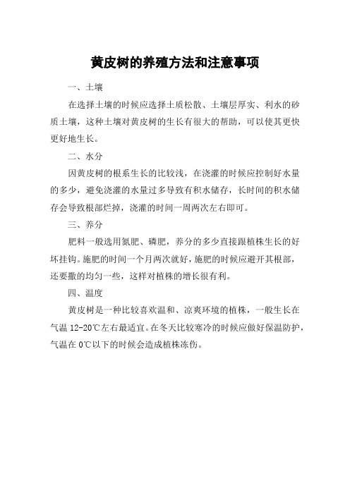黄皮树的养殖方法和注意事项