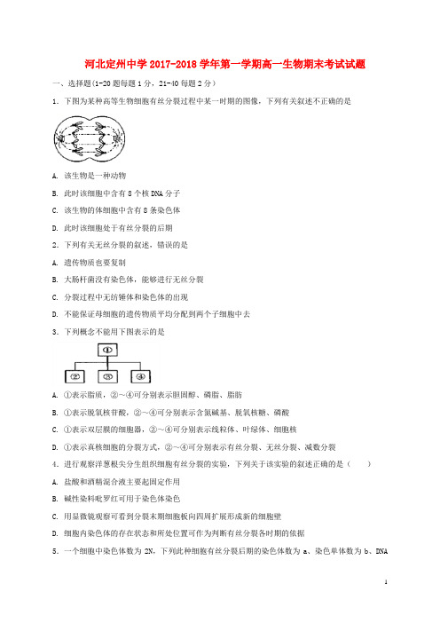 河北狮州市18学年高一生物上学期期末考试试题180228176