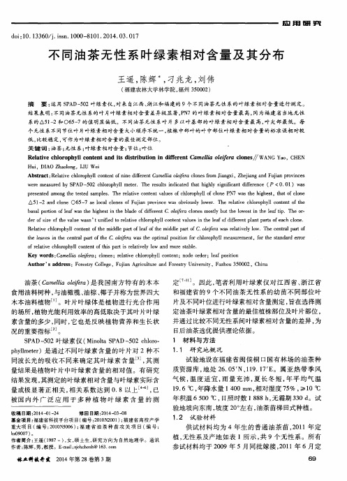 不同油茶无性系叶绿素相对含量及其分布