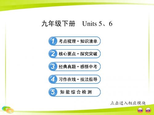 2013版初中英语全程复习方略课件(教材复习案)九年级下册 Units 5、6(冀教版)