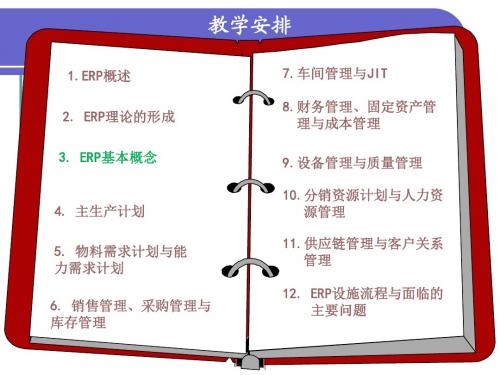 ERP课件_第3章_ERP的基本概念