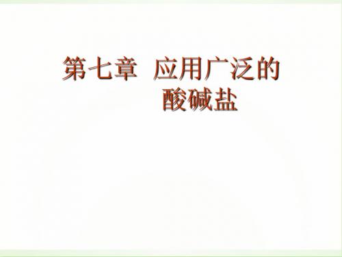 九年级化学上册 第七章《酸碱盐分析》课件 人教新课标版