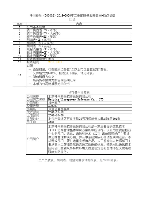 神州泰岳(300002)2016-2020年二季度财务报表数据-原点参数